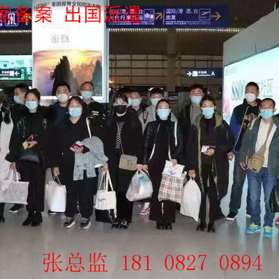 张家界开启出国劳务新模式 建筑工地与工厂岗位包机出征